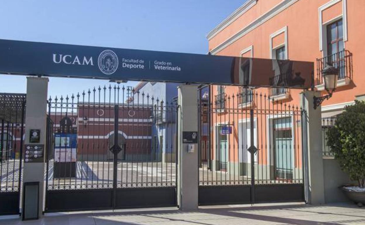 La UCAM Abre La Preinscripción De Veterinaria A La Espera De Permiso ...